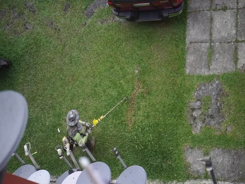 Workers are cutting grass Stock Footage 96870372