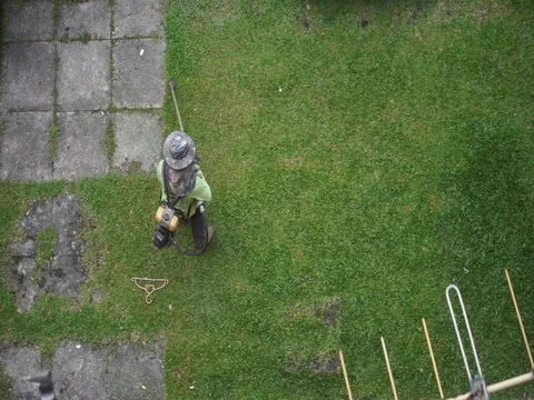 Workers are cutting grass Stock Footage 96870482