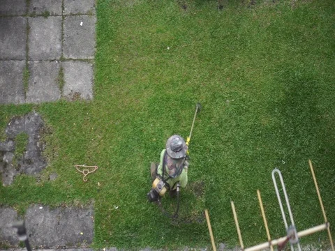 Workers are cutting grass Stock Footage 96870568