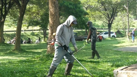 Workers are cutting grass using a lawn mower in a park. Stock Footage 308459593