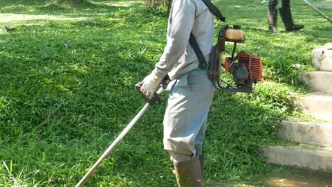 Workers are cutting grass using a lawn mower in a park. Stock Footage 308459643