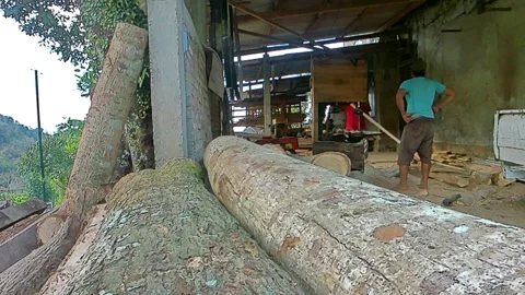 Workers are cutting wood with a machine. Stock Footage 249774685