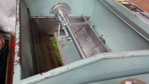 Workers are frying tea by hand Video stock 137315891