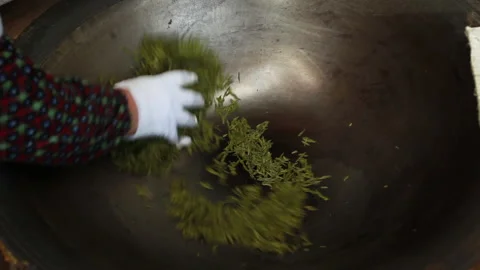 Workers are frying tea by hand Stock Footage 137316025