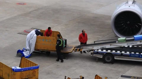 Workers are loading the checked baggages to the flight  Vídeos de archivo 304221755
