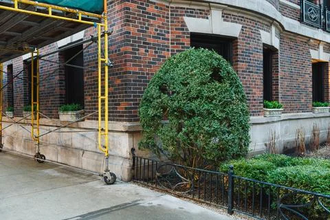 Workers are setting up scaffolding next to a brick building. A rounded bush g 스톡 사진