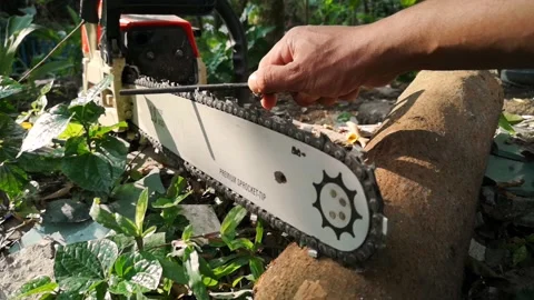 Workers are sharpening chainsaws manually. Vídeos de archivo 148818406