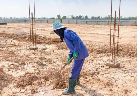 Workers are using a shovel to adjust the soil. Stock Photos