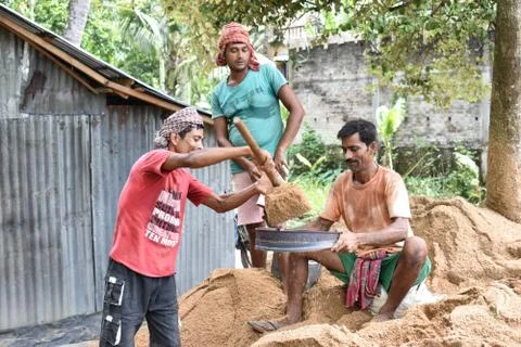 Workers are working Stock Photos
