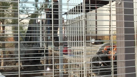 Workers assemble the fence structure using electric welding. Stock Footage 242610937