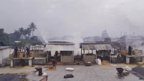 Workers Begin Manual Rice Processing at Dawn in Khajanagar Rice Mill Yard Stock-Footage 346218759
