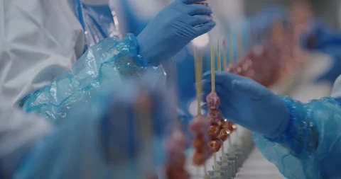 Workers in blue gloves thread raw minced meat balls onto wooden skewers at a Vídeo Stock 339965751