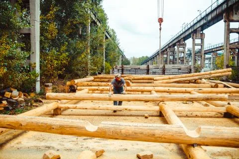 Workers build a house of logs 库存照片
