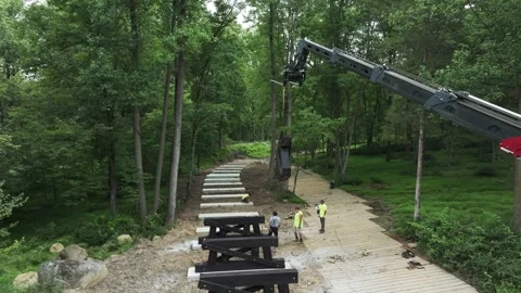 Workers Build a Walking Path Through Trees in a Park During Daylight Hours Video stock 328307506