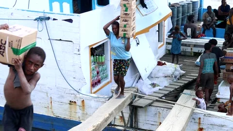 Workers Carrying Cargo Boxes from Boat on Wooden Doc Stock Footage 318396387