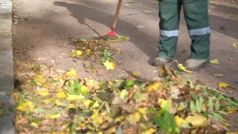 Workers clean fallen leaves in the park to maintain outdoor space hygiene during Stock Footage 276475570