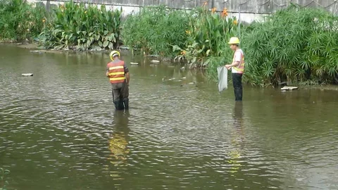 Workers clean up rubbish in the river Stock Footage 118171189
