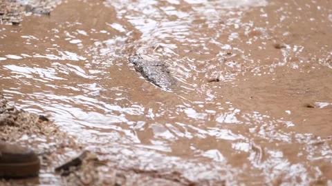 Workers clean the streets after the flood 4 Stock Footage 294085581