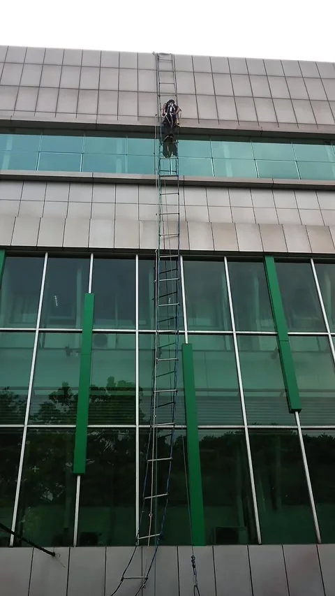 Workers Cleaning Windows Service Outside Building Stock Footage 312270083