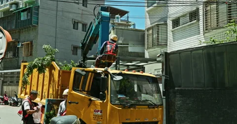 Workers clear the dense branches and leaves of the banyan tree from the crane Stock Footage 330942989