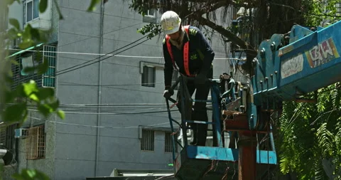 Workers clear the dense branches and leaves of the banyan tree from the crane Vídeo Stock 330944049