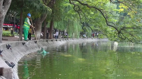 Workers collect leaves in the lake Stock Footage 58626047