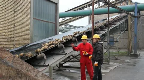 Workers control Sugar beet on conveyor Video stock 9024170