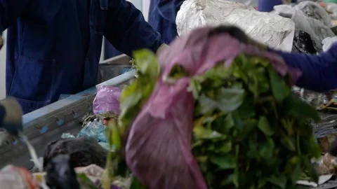 Workers at Conveyor Sorting Garbage at a Recycling Plant Stock Footage 109506018
