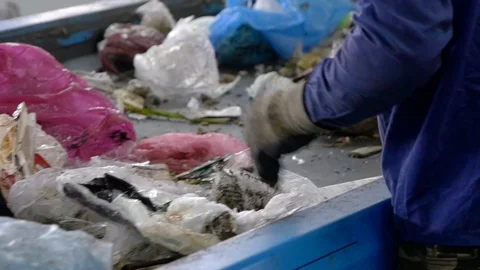 Workers at Conveyor Sorting Garbage at a Recycling Plant Stock Footage 109506184