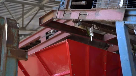Workers on the conveyor of the waste processing plant Video stock 243889005