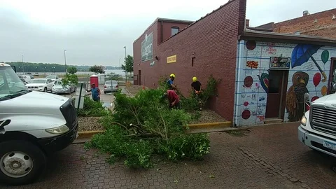 Workers Cut down a bush - Landscaping Stock Footage 90927177