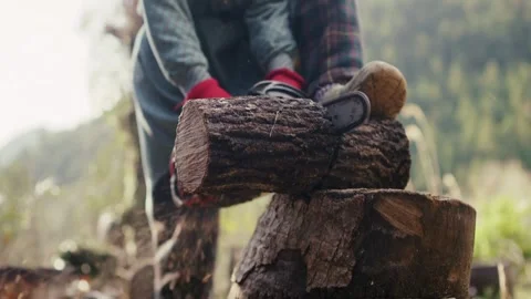 Workers cut down trees in the forest with chainsaws Felled tree A felled tree Stock-Footage 336570809