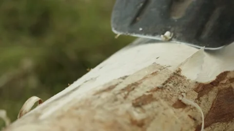 Workers  cut logs Stock Footage 149949180