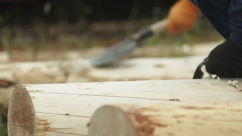 Workers cut logs Stock Footage 149949207