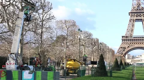 Workers cut tree in paris Stockbeeldmateriaal 59517218