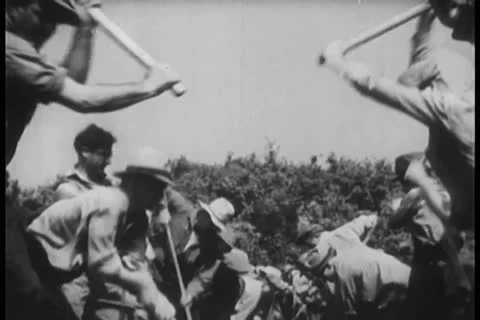 Workers digging an irrigation canal Stock Footage 11350981