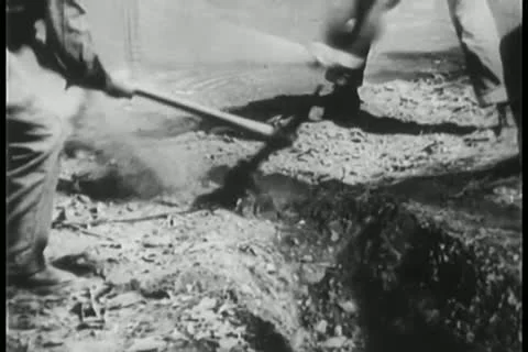 Workers digging an irrigation canal Video stock 11350988