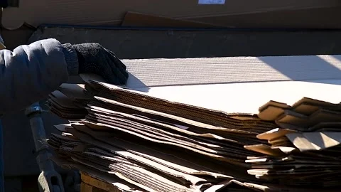 Workers dispose of the cardboard packaging for further recycling and reuse. Stock Footage 306547014