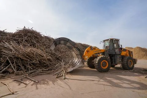 Workers drive engineering vehicles to transport branches in a sawdust proce.. Фото