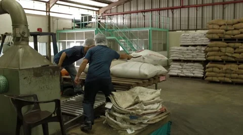 Workers Emptied The Bags In The Workshop Stock Footage 61489554
