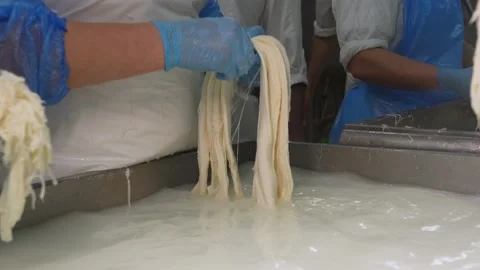Workers at the enterprise make milk cheese with their hands in protective gloves Stock Footage 145586525