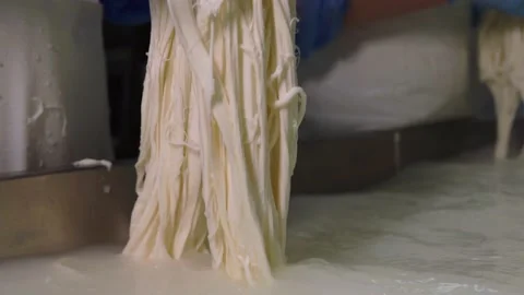 Workers at the enterprise make milk cheese with their hands in protective gloves Stock Footage 145586555