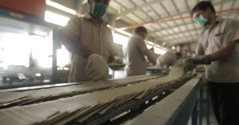 Workers Examining Battery Separators Traveling on Industrial Conveyor Belt (4K) Stock Footage 60786562