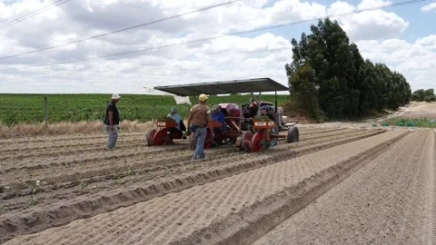 Workers In A Farm Video stock 202655863