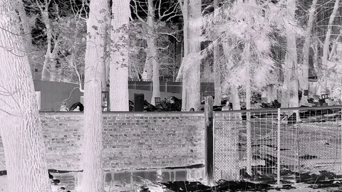 Workers In Fast Motion An Front View At Black White Tones Stock Footage 84028431