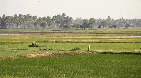 Workers on the field Stockbeeldmateriaal 36634099
