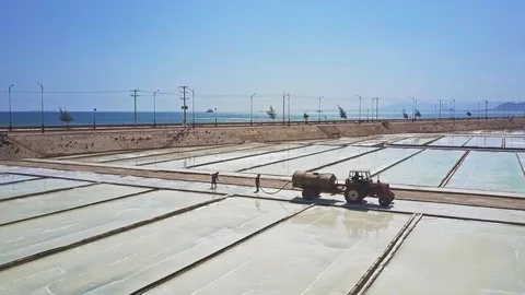 Workers Follow Tractor on Plot Pour Salt with Hose Stock Footage 88800016