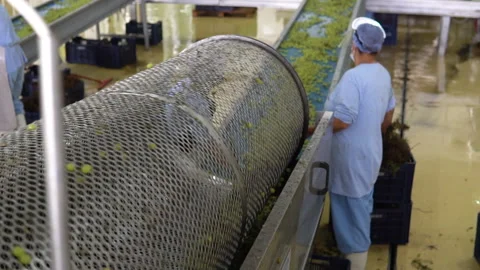 Workers in a food processing facility donning safety gear Stock Footage 325326884