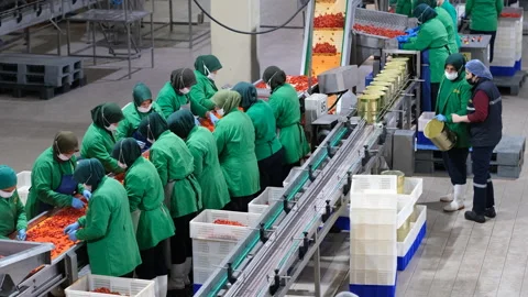 Workers in a food processing facility donning safety gear Stock Footage 325336052