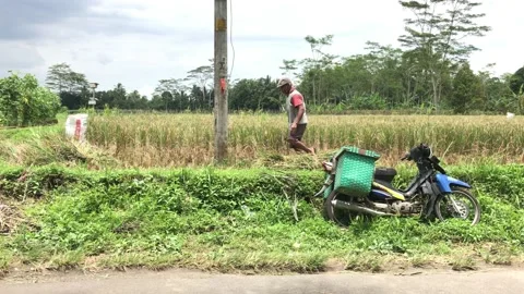 Workers. Stock-Footage 170635923